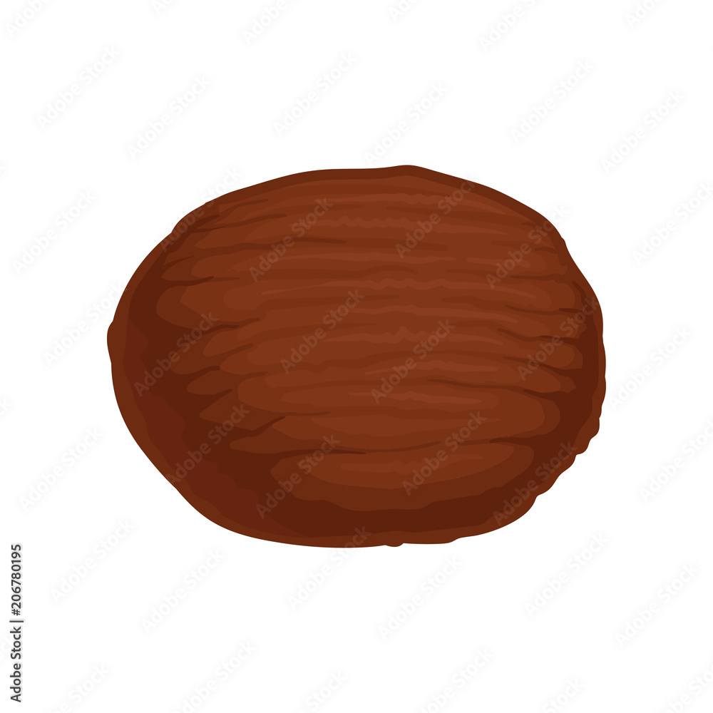Flat vector icon of whole brown coconut. Natural and tasty tropical food. Element for product packaging, poster or banner Flat vector icon of whole brown coconut. Natural and tasty tropical food. Element for product packaging, poster or banner