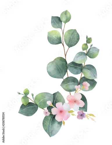 Naklejka na ścianę Akwarela wektor bukiet z zielonych liści eukaliptusa, różowe kwiaty i gałęzie.