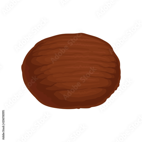 Flat vector icon of whole brown coconut. Natural and tasty tropical food. Element for product packaging  poster or banner