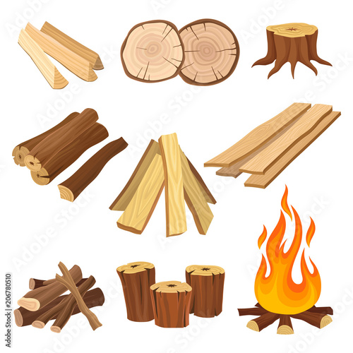 Flat vector set of firewood. Logs and flame, tree stumps, wooden planks. Organic material, natural texture. Wood production industry