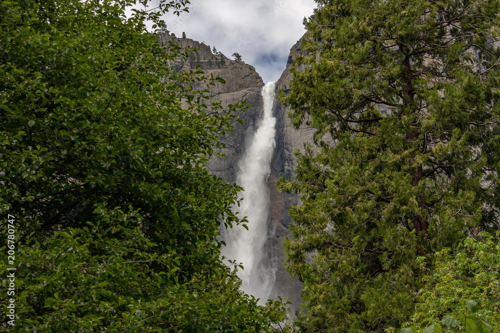 Fototapeta premium Park Narodowy Yosemite