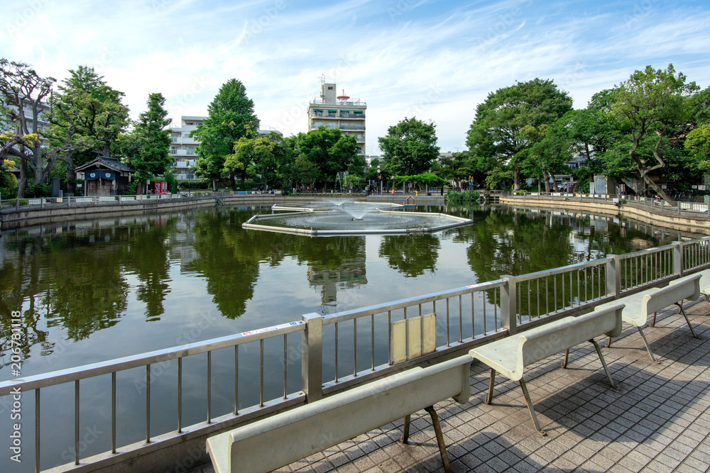 Fototapeta premium 清水池公園