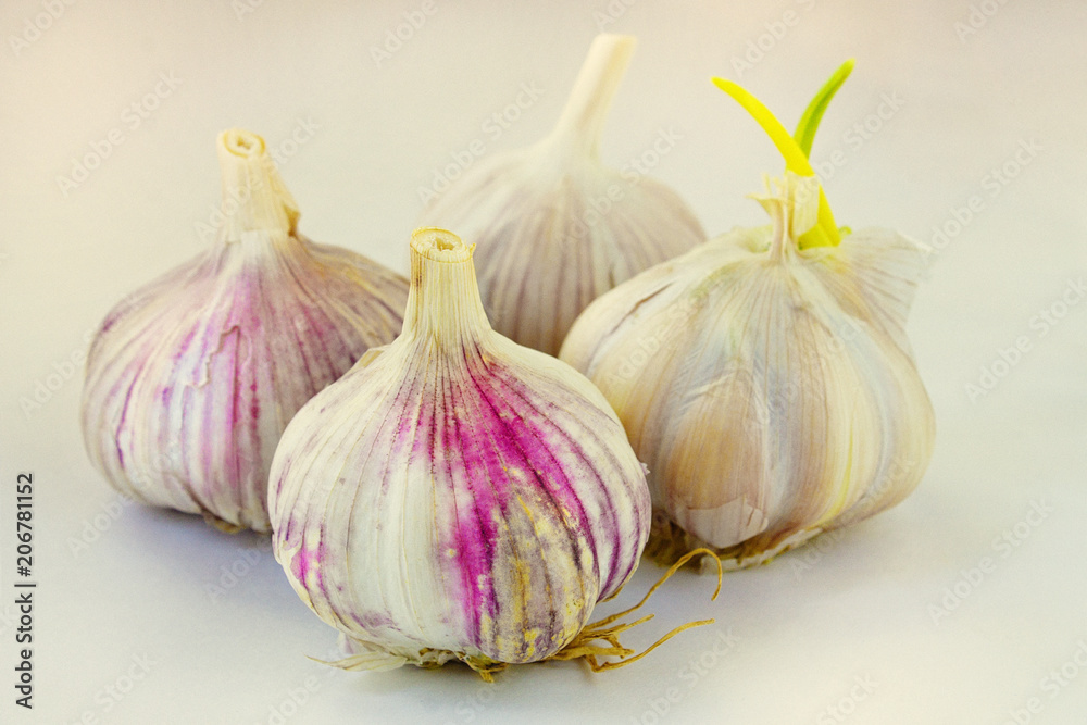 Obraz premium Garlic heads