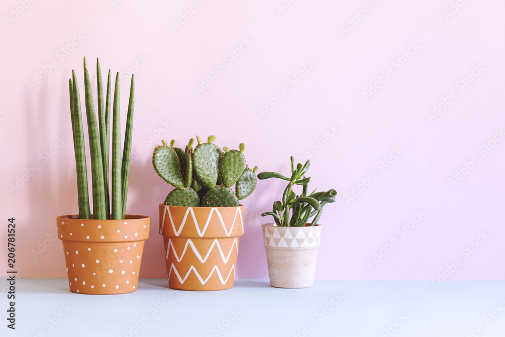 The stylish interior filled a lot of plants in different hipster clay pots with copy space. Modern plant compostion with pink background wall. The stylish interior filled a lot of plants in different hipster clay pots with copy space. Modern plant compostion with pink background wall.