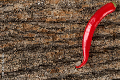 One Red Hot Chili Pepper on wooden background