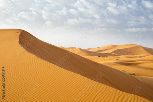 orange hill of dune in Sahara desert in Morocco