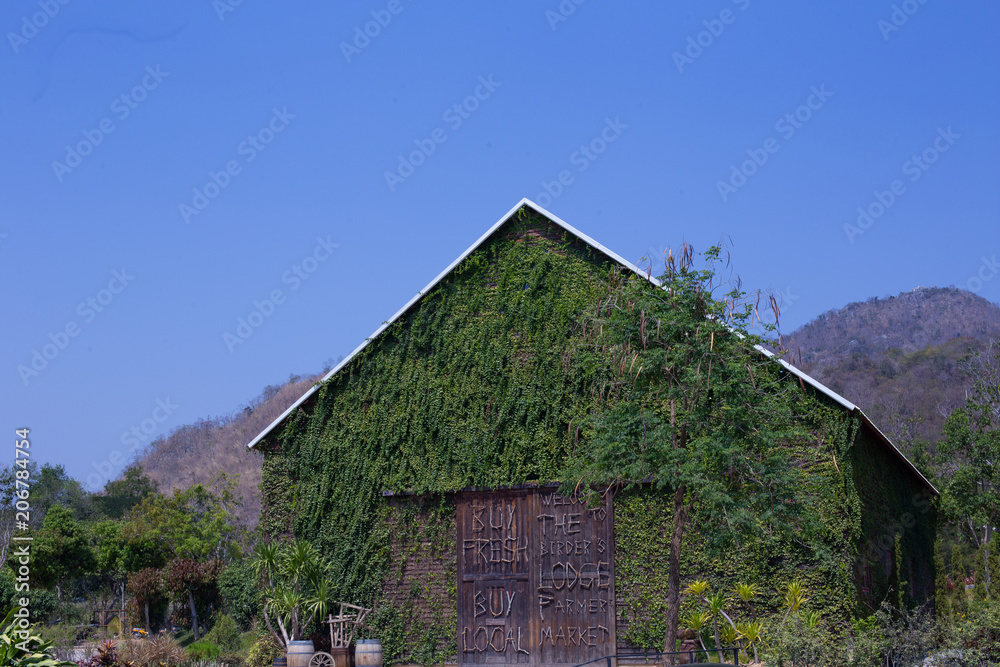 A barn house with climbing tree wall and wooden door with mountain behind. A barn house with climbing tree wall and wooden door with mountain behind.