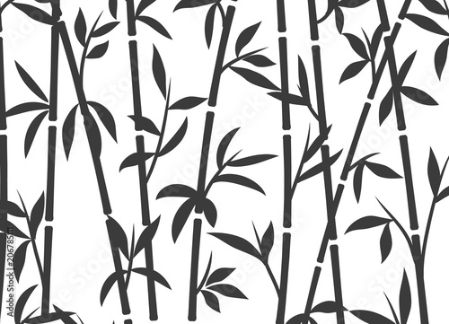 Naklejka Bambusowej tło japońskiej azjatykciej rośliny tapety trawa. Bambusowy drzewo wektoru wzór czarny i biały