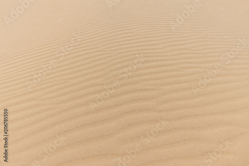 Texture in the sand