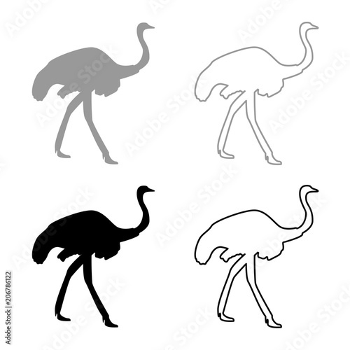 Ostrich icon set grey black color