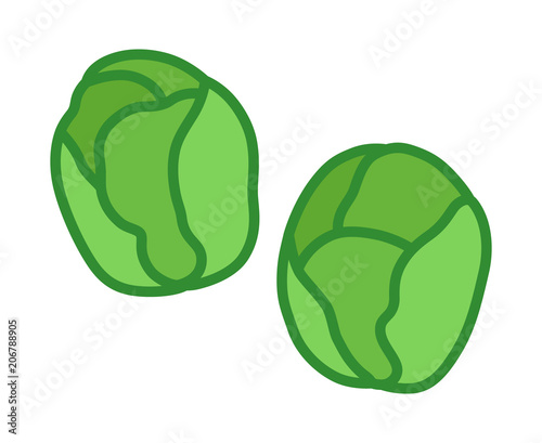 Two Brussels sprouts vegetable buds flat vector color icon for food apps and websites