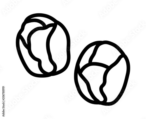 Two Brussels sprouts vegetable buds line art vector icon for food apps and websites