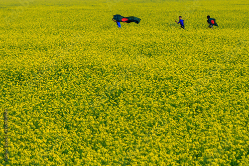 The children with National Flag on mustard field