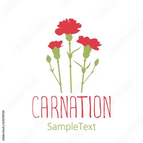 Carnation flowers. Logo design. Text hand drawn. Isolated on white background