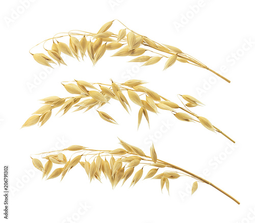 Triple oat ears set isolated on white background