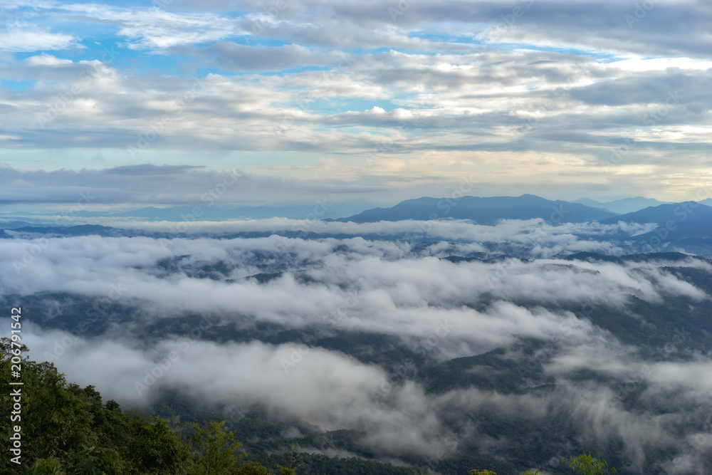 Sea mist scenery the morning mist natural sky, the sea of fog from northern Thailand, mountains view landscape winter peak.