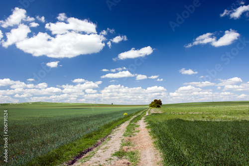 Road through green fields and white clouds to blue sky