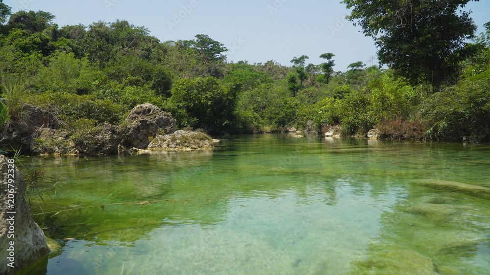 River flows through the rainforest in the jungle. Tropical river, jungle. Tropical Rainforest Landscape. River flows through the rainforest in the jungle. Tropical river, jungle. Tropical Rainforest Landscape.