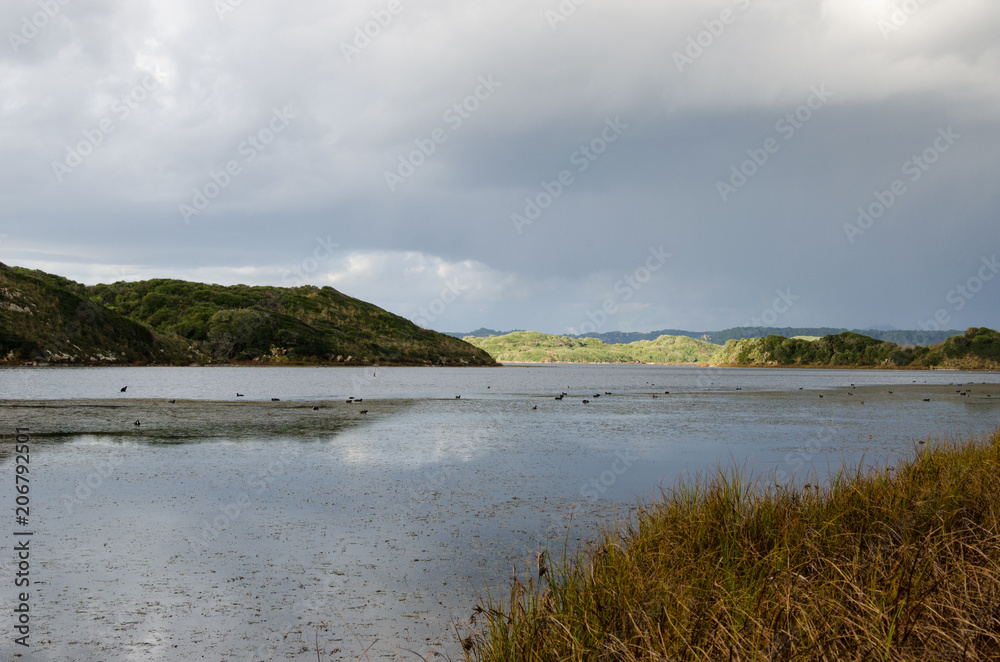 Photograph of one of the most magical landscapes of Menorca, the Albufera de es Grau full of animals in their most natural habitat. Photograph of one of the most magical landscapes of Menorca, the Albufera de es Grau full of animals in their most natural habitat.