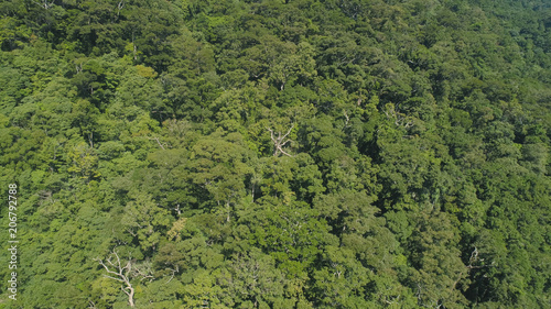 Aerial view of mountains with green forest, trees, jungle. Slopes of mountains with tropical rainforest. Philippines, Luzon. Tropical landscape in Asia.