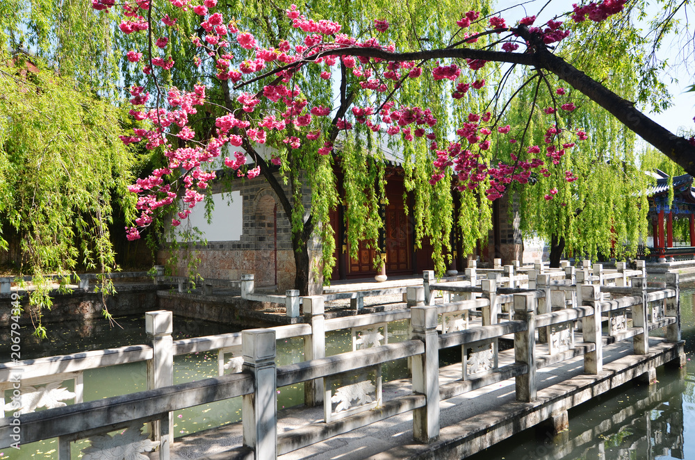 Chinese style garden in yunnan province. Chinese style garden in yunnan province.