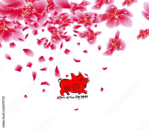 Fototapeta Naklejka Na Ścianę i Meble -  Sakura flowers background. Cherry blossom isolated white background. Chinese new year (hieroglyph Pig)
