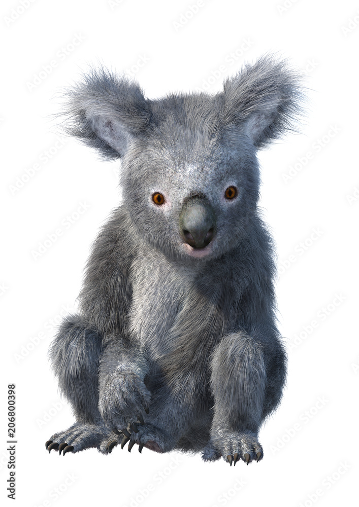Naklejka premium 3D renderowania Miś Koala na białym tle
