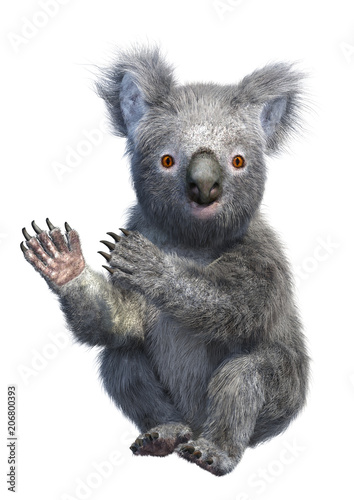 Fototapeta Naklejka Na Ścianę i Meble -  3D Rendering Koala Bear on White