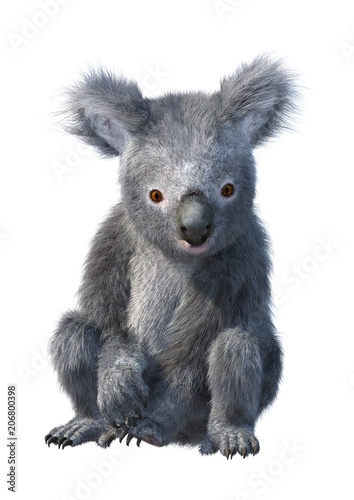 Fototapeta Naklejka Na Ścianę i Meble -  3D Rendering Koala Bear on White