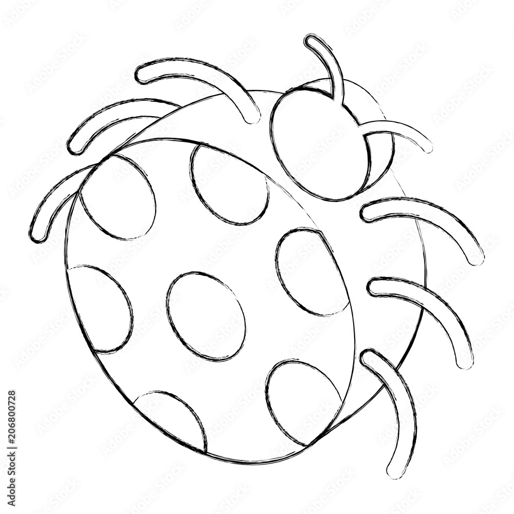 17 Easy Bug Drawing Tutorials  Easy Drawing Guides