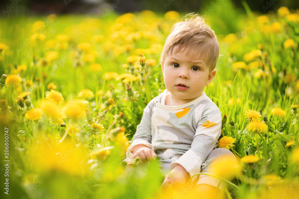 Concept: family values. Portrait of adorable innocent funny brown-eyed baby playing outdoor in the sunny dandelions field. Concept: family values. Portrait of adorable innocent funny brown-eyed baby playing outdoor in the sunny dandelions field.