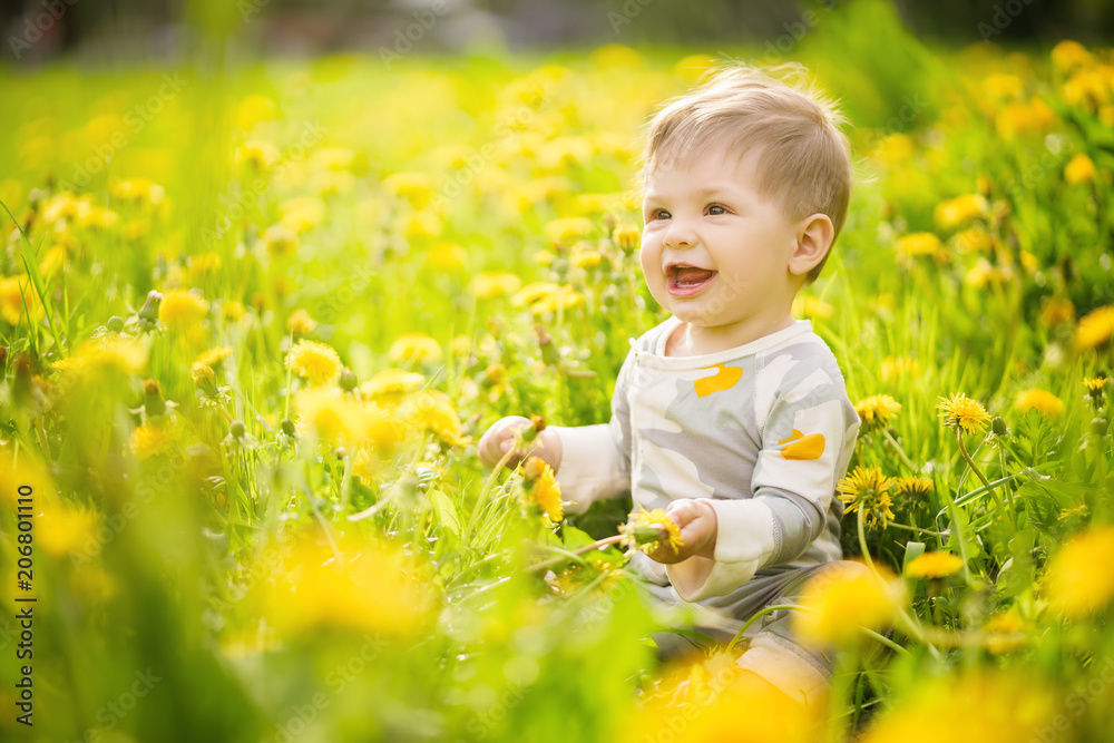 Concept: family values. Portrait of adorable innocent brown-eyed baby playing outdoor in the sunny dandelions field and making funny faces. Concept: family values. Portrait of adorable innocent brown-eyed baby playing outdoor in the sunny dandelions field and making funny faces.