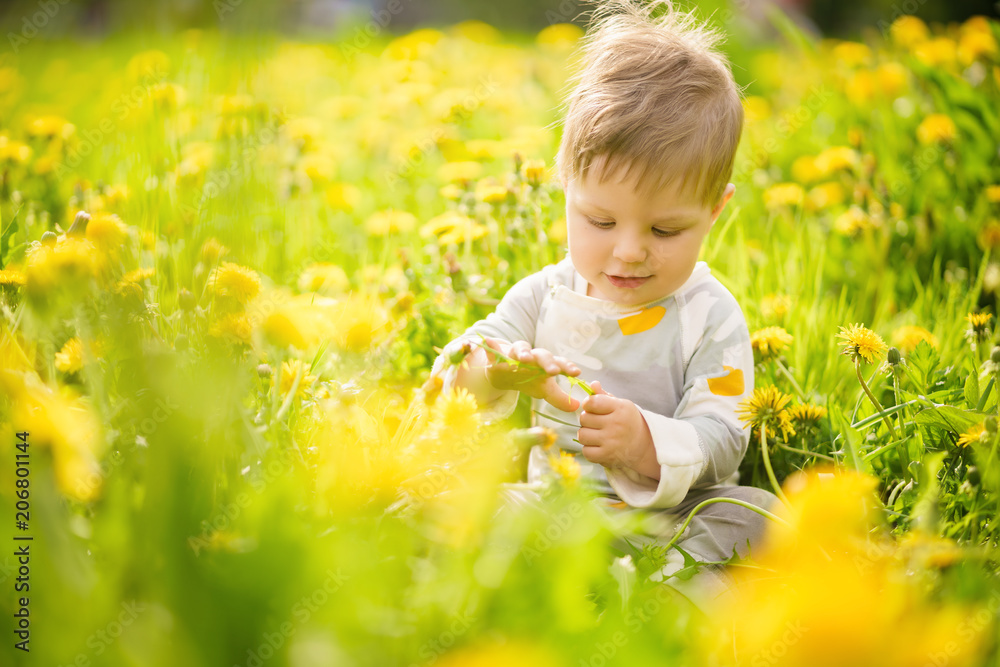 Concept: family values. Portrait of adorable innocent funny brown-eyed baby playing outdoor in the sunny dandelions field. Concept: family values. Portrait of adorable innocent funny brown-eyed baby playing outdoor in the sunny dandelions field.