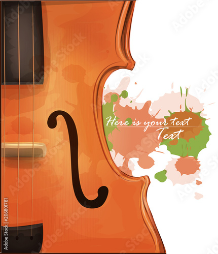 Violin