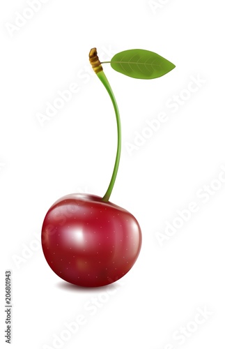 Ripe red cherry berrie with leave. Vector