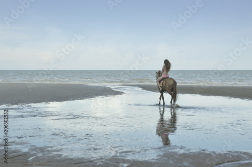 Sexy woman in pink bikini riding horse on the beach over sea and sky, soft tone, Summer holiday and travel concept