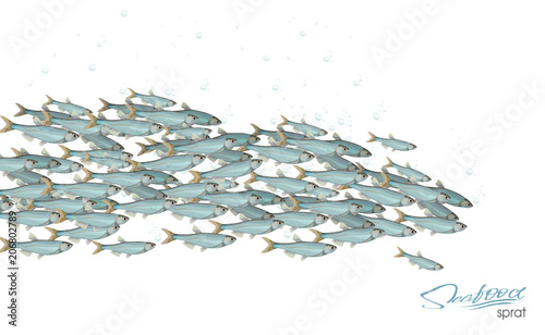School of fish vector illustration for header, web, print, card and invitation. Plenty of herring or cod moving in the sea.