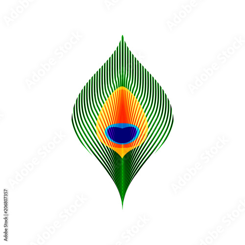 Colorful green orange and blue peacock tail feather, vector