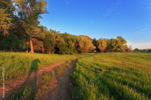 Volgograd region, Russia. Shade landscape photographer from the light of the morning sun. Rural dirt road, green grass and trees in field
