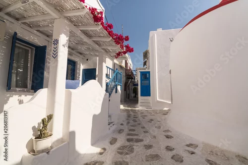 Obraz Widok na starą ulicę w dzielnicy Mykonos Mała Wenecja z kamienistym chodnikiem, tradycyjnymi domami i kwitnącym krzewem