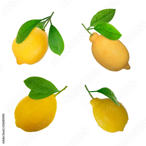 set of lemons with leaves isolated on white background