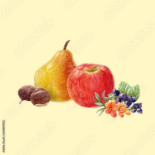 Watercolor fruit vector composition