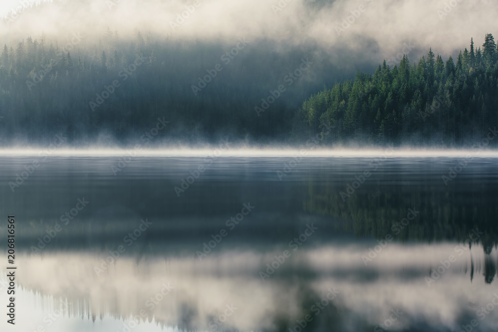 Morning fog on the lake