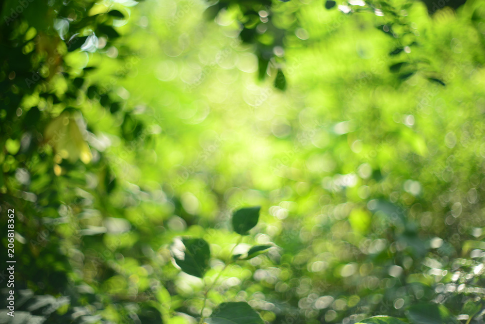 Green defocused abstract background with bokeh circles Green defocused abstract background with bokeh circles