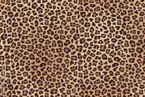 Leopard spotted fur texture. Vector