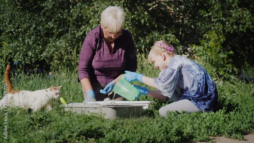 Grandmother with her granddaughter put the flowers in the pots, the girl watered the ground. A cat is walking nearby Grandmother with her granddaughter put the flowers in the pots, the girl watered the ground. A cat is walking nearby