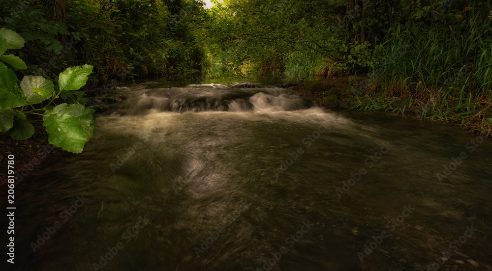 Fototapeta premium Wild Streams