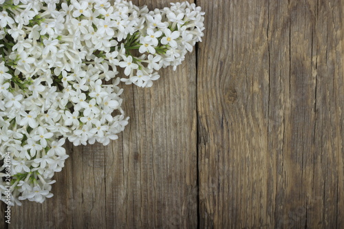 white lilac on wooden background © lewal2010