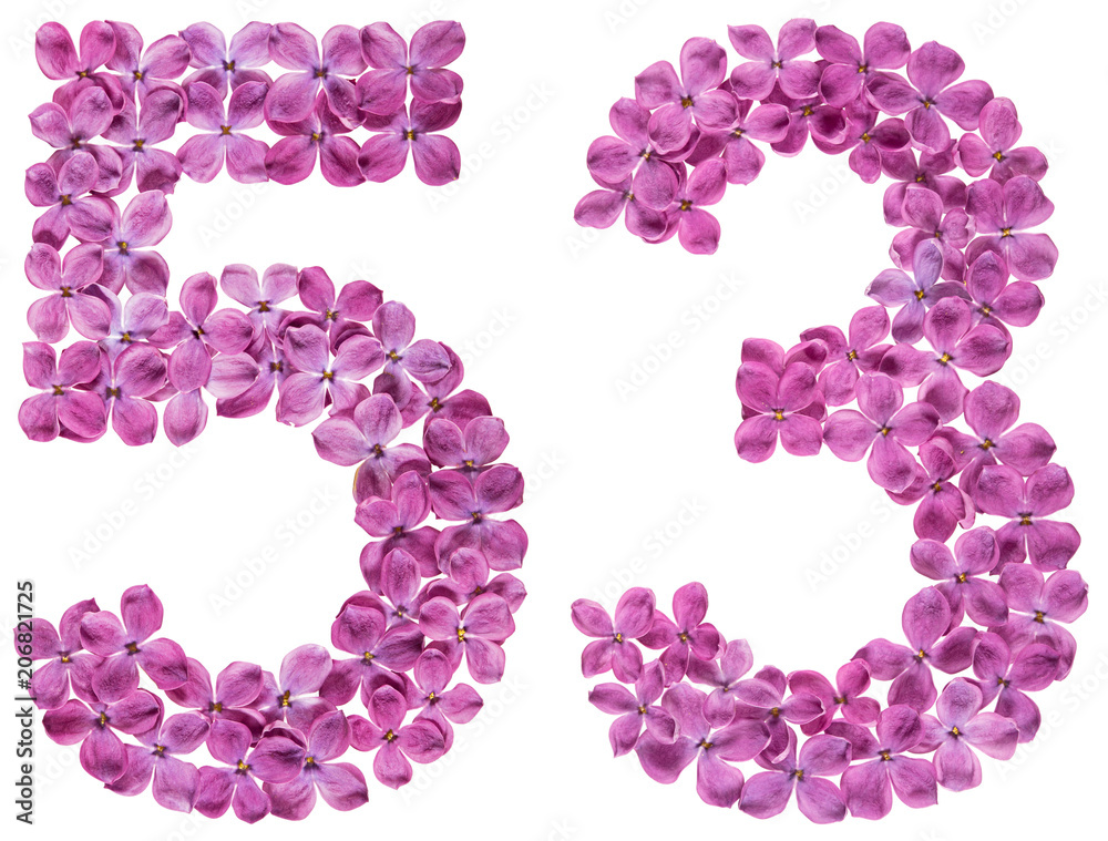 Arabic numeral 53, fifty three, from flowers of lilac, isolated on white background