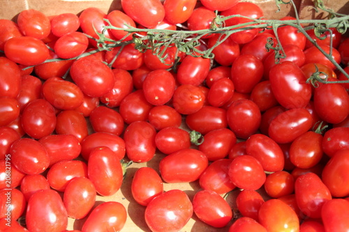 Lots of small tomatoes in tray